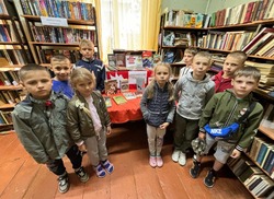 В библиотеках Приволжского района функционируют патриотические выставки книг