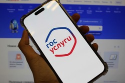 Через «Госуслуги» россияне могут узнать наличие алиментов и легальность таксистов