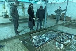 В Приволжском районе успешно развивается семейный агробизнес