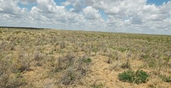 В Астраханской области усиливается процесс опустынивания
