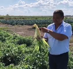 Аграрии Приволжского района продолжают уборку урожая
