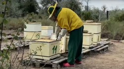 Фермерское хозяйство Приволжского района успешно развивает пчеловодство