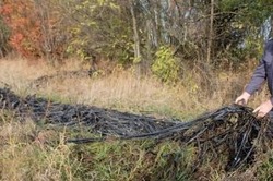 В Приволжском районе выявлены сельхозугодия неиспользуемые по назначению