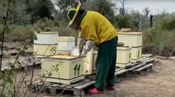 Приволжский фермер развивает пчеловодство