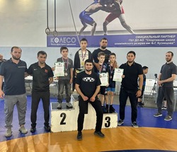 Юные борцы Приволжского района участвуют в соревнованиях разного уровня