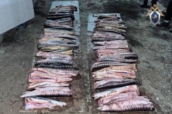 В Приволжском районе задержан браконьер с рыбой осетровых пород 