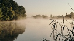 В России за муниципалитетами закрепляют полномочия в сфере охраны окружающей среды 