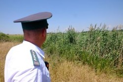 В Приволжском районе выявлены сельхозугодия неиспользуемые по назначению