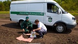 В Приволжском районе собственник захламил сельхозугодия отходами