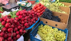 Россиянам назвали продукты, от которых лучше воздержаться в жару