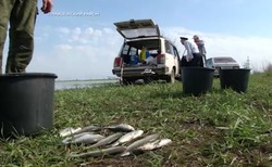 В Приволжском районе были выявлены рыболовы-нарушители