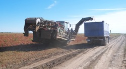 В Приволжском районе продолжается сбор урожая