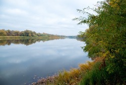 В Астраханской области стало больше воблы