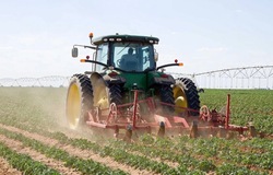 Ход уборочных работ в Астраханской области опережает прошлогодние темпы