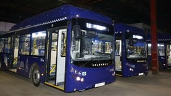 В рамках транспортной реформы на улицы Астрахани вышли новые автобусы