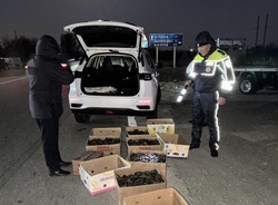 Приволжские полицейские выпустили в среду обитания более 1800 раков