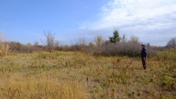 В Приволжском районе более 5 гектаров сельхозугодий заросли сорной растительностью